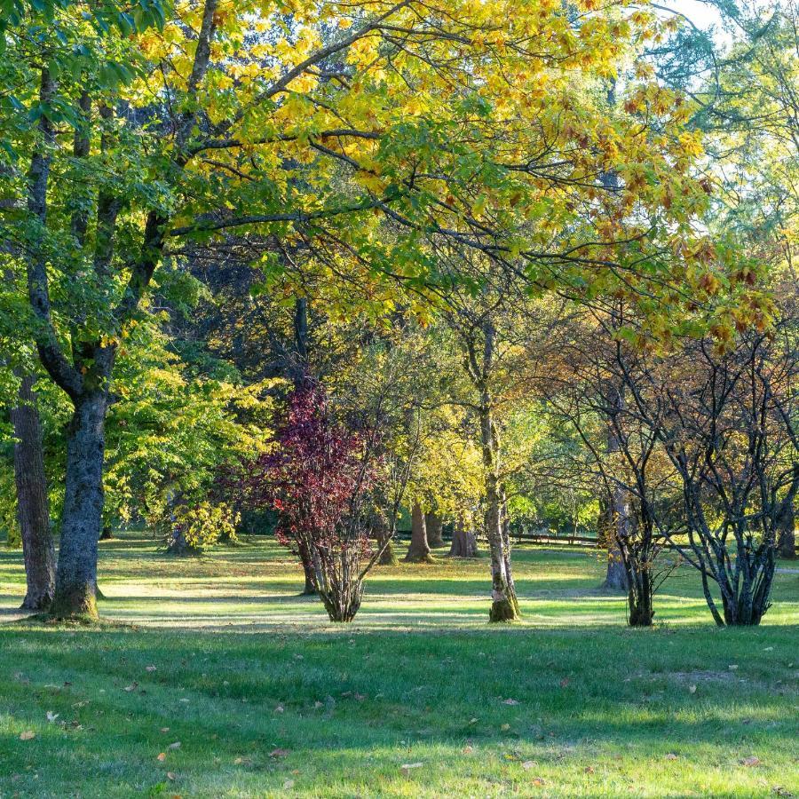 Ferienwohnung "Am Kurpark" Санкт-Андреасберг Экстерьер фото